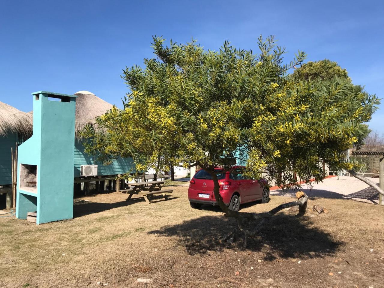 فيلا Casa Papaya بونتا ديل ديابلو المظهر الخارجي الصورة